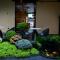Xishu Garden Inn - Travel Agency service - Car Rent service - English Speaking