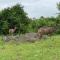 Reedbuck Lodge @Cyferfontein in Mabalingwe Reserve - Bela-Bela