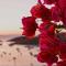Villa Faros Vourkari Kea with private pool and stunning views
