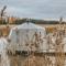 Aurora Igloo Porvoo