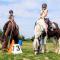Chalet Weizicht op minicamping Hoogelande