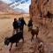 Sky Light Wadi Rum