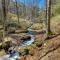 Rustic Cabin on Hemphill Creek with Fire Pit and Grill - وينزفيل