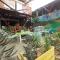 Wiracocha Hostal Máncora