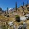 Amazing Huaraz