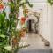 Livadia Apt B Paros