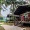 The Exotica Agonda