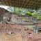 Sigiri Corridor Home Stay
