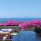 Akakies summer house with breathtaking Aegean view - Aspro Chorio Paros