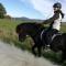 Ponyhof Adam Urlaub auf dem Bauernhof