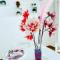 B&b il cuore di Kroton