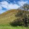 The Headland Lodge Gisborne Group Stay - up to 14 guests - Muriwai