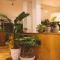 Hotel Emeline