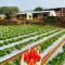 Heavens Edge Resort - Mahabaleshwar