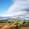 Fransmanskraal Accommodation - Luxury Stellenbosch Farm Villa