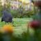 Fransmanskraal Accommodation - Farm Cottage