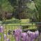 Agréable maison de village avec jardin. - Beaulieu-sur-Dordogne