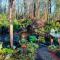 Exotic Garden cottage at amazing volcano fissure