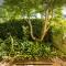 Guest suite - Leafy Constantia Guest House - 开普敦