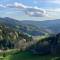 Appartement 50m2 vue imprenable avec garage draps et serviettes compris - Villard-de-Lans