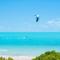 Aqua Del Rose 3 BR Beachfront Cottage