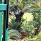 Emani Guest House