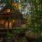 Enchanted Evergreen