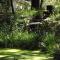 Backyard Garden Oasis