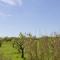 Finca Can Diego Finca Can Diego