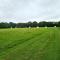Glamping in the Kent weald nr Tenterden Spacious quite site sole use 3 to 6 equipped tents, Tranquil and beautiful rural location yet just an hour to London