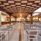 Xanadu Makadi Bay - High Class All Inclusive