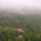 KINGMAKERS Plantation with River Stream