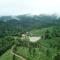 jungle view resort