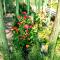 The Tshilli Farm & Lodge