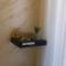 Apartman Iggy Zlatibor - Zlatibor