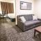 Cobblestone Hotel & Suites - Lamar