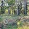 6 person holiday home in Vingåker-By Traum