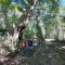 GJ TOUR and HOMESTAY