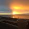 Alexanders - Hastings