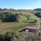 Palladio Vineyard