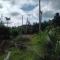 Chom Suan Farmstay