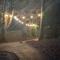 42 pine lodge & sea views