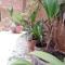 Mirleft Tayought Guest House - Mirleft