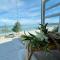 Lazzlla beach front apartments