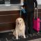 Residence Inn Boston Dedham