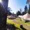 Glamping at Zeehan Bush Camp