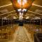 Grace Exotica Goa