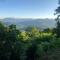 La Châtaigne Perchée, piscine et nature - Chirols