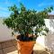 Blue jasmine