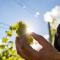 WINERY AND APARTMENTS MAROF - Bistrica ob Sotli